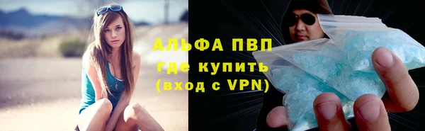 гидра Алексеевка