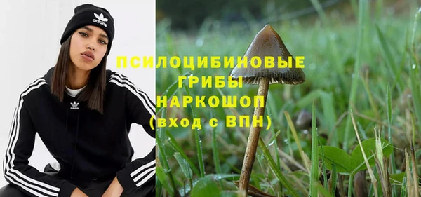 спиды Алзамай