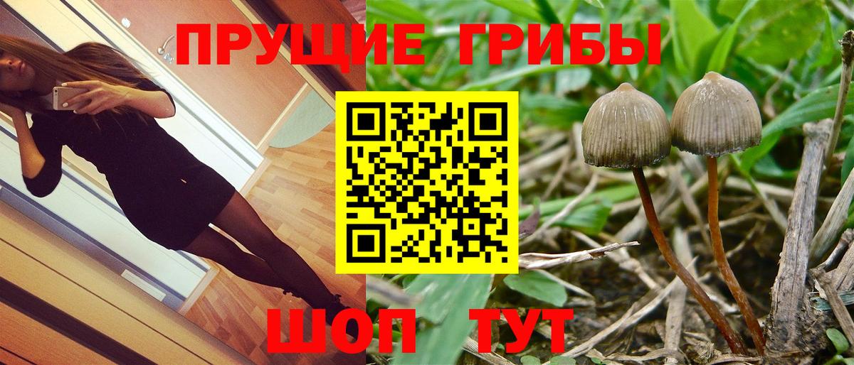 Псилоцибиновые грибы ЛСД  Вход с VPN  Дедовск  Псилоцибиновые грибы мухоморы 